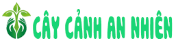 Cây Cảnh An Nhiên - Cây Cảnh & Chậu Kiểng Gò Vấp