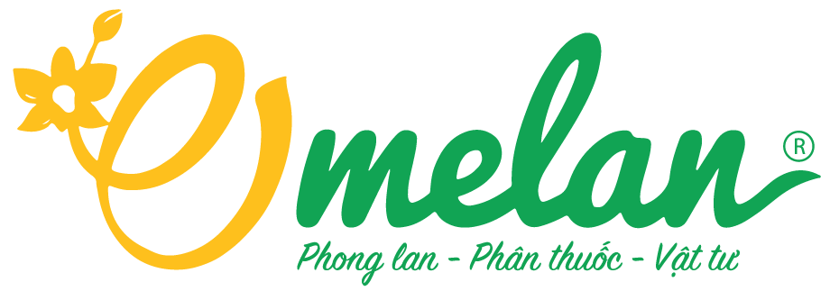 Công Ty TNHH Mê Lan - Phong Lan & Phân Thuốc Vật Tư