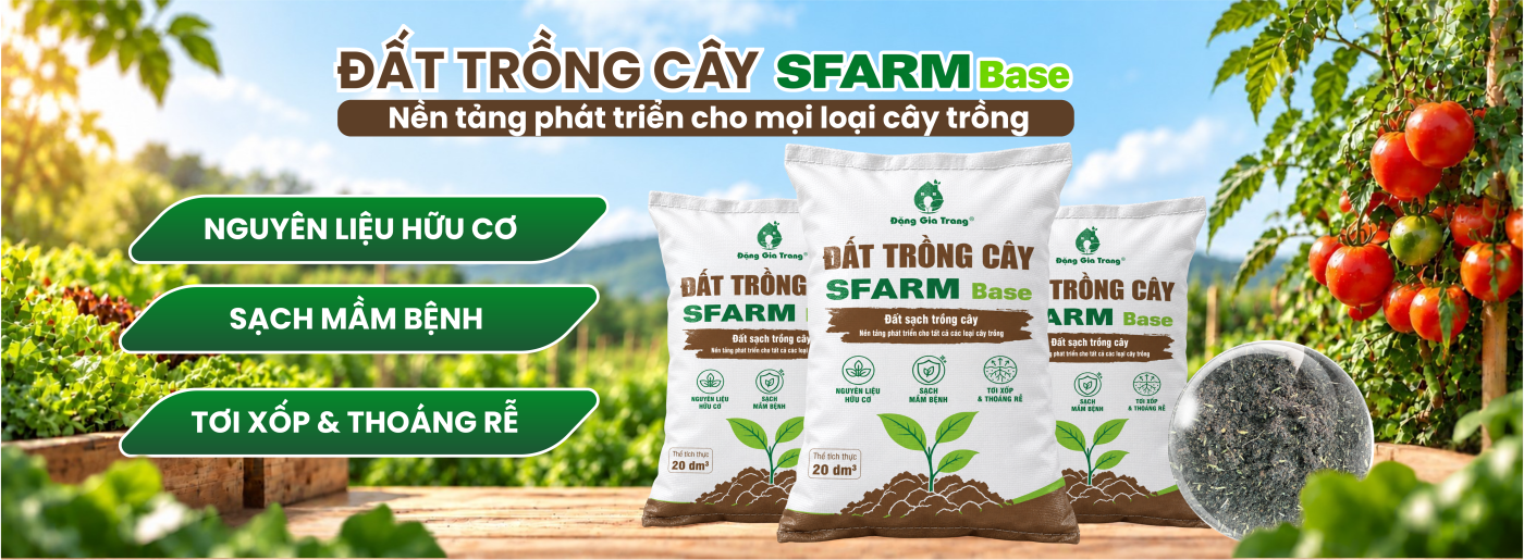Ảnh bìa SFARM - Phân Trùn Quế & Đất Sạch Đặng Gia Trang